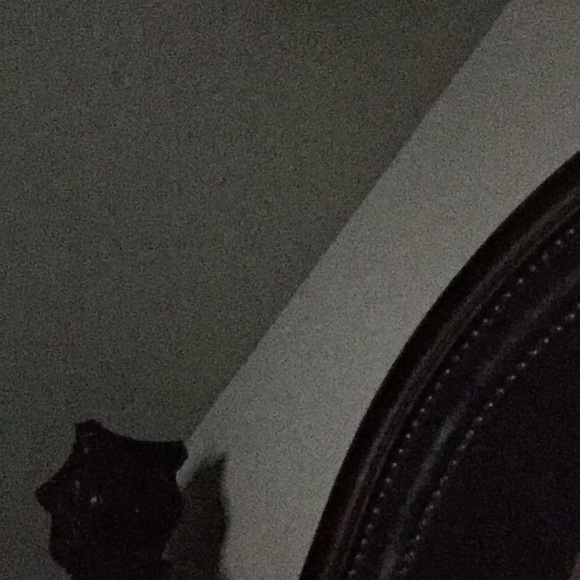 Meet your Posher, Brandy - Picture 1 of 1